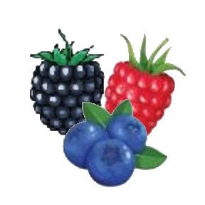From Our Kitchen - Fresh Fruit Pies