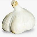 Ontario Garlic - July to February