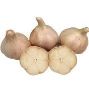 Ontario Garlic - July to February
