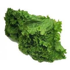 Ontario Lettuces - All Year