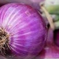 Holland Marsh Onions - All Year