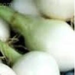 Holland Marsh Onions - All Year