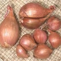 Holland Marsh Onions - All Year