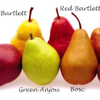 Ontario Pears - August to December