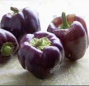 Holland Marsh Sweet Peppers - February to December