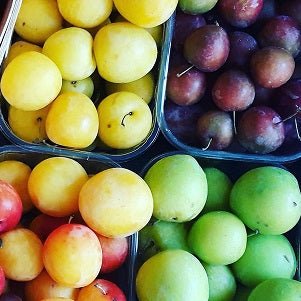 Ontario Plums - July to October