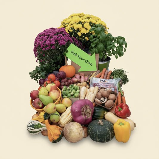 'Pick your Own' Produce Box – Holland Marsh Food Market