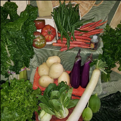 Pick Your Own Produce Box