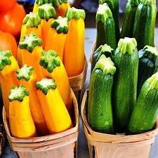 Holland Marsh Zucchini - June to October